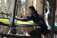 DSC01955