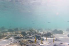 IMG_20200228_221003